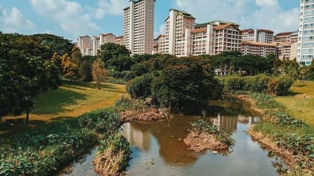 Bishan-Ang Mo Kio Park, Ang Mo Kio, Singapore
