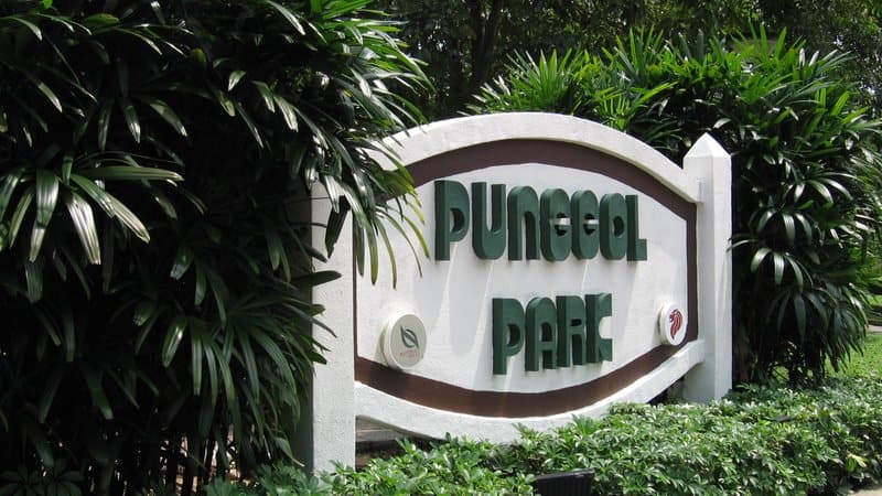 Punggol Park (Hougang Avenue 10), Hougang, Singapore
