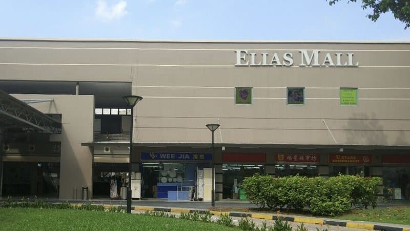 Elias & Loyang, Pasir Ris, Singapore