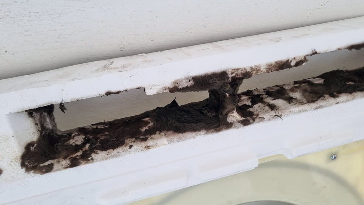 Thick black mould and grime clogging the air intake of an aircon that had not been serviced for two to three years